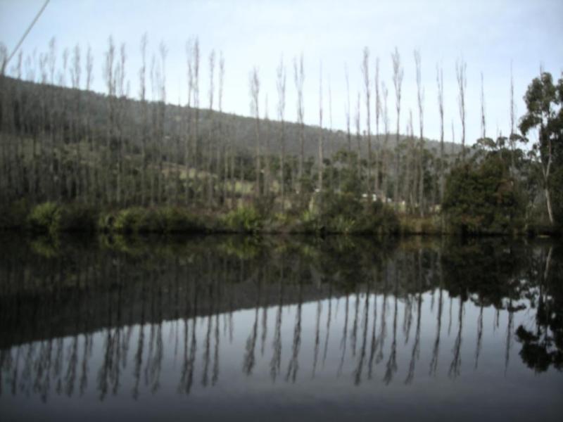 Port Huon Cottages ภายนอก รูปภาพ